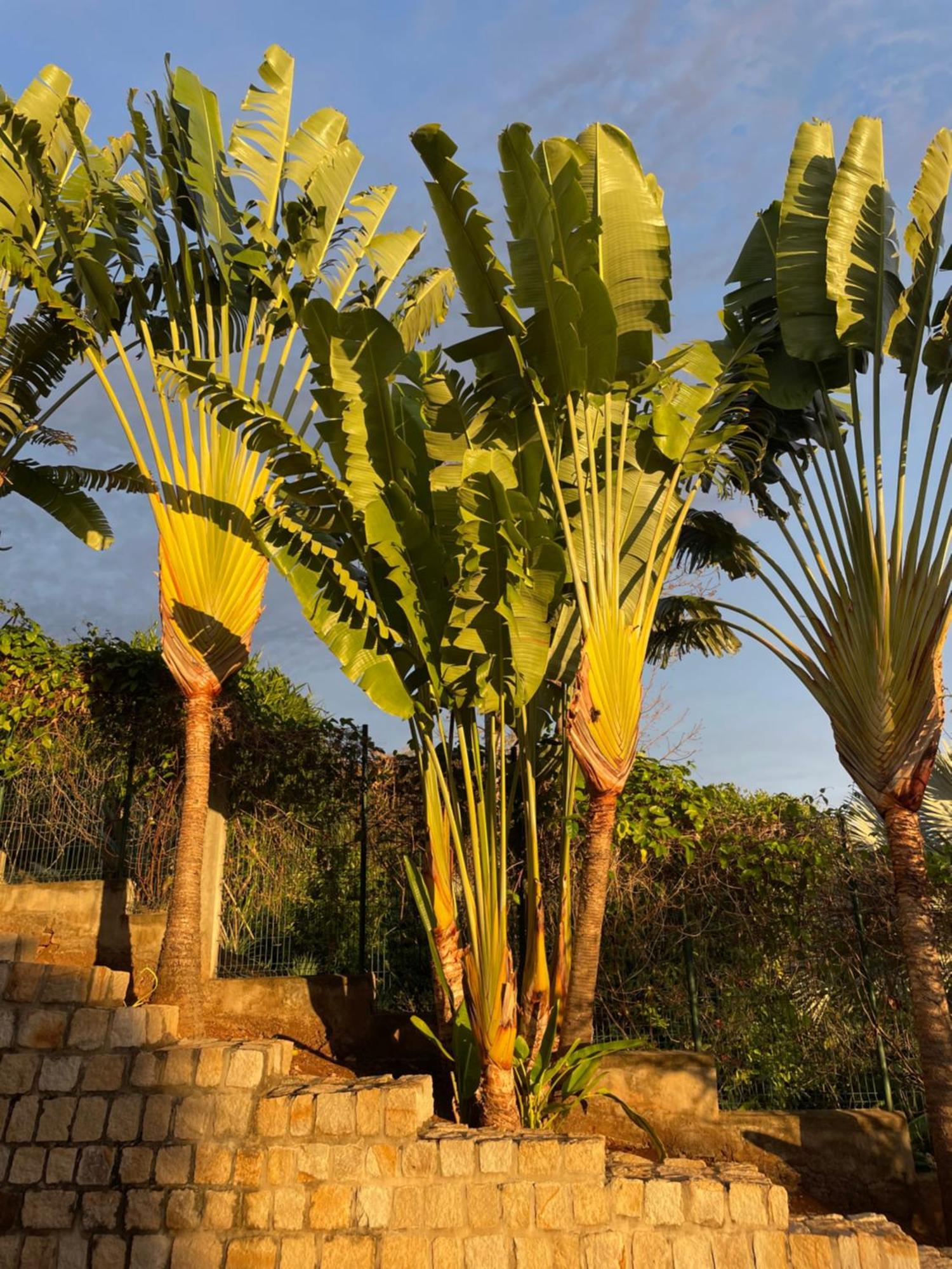 Lodges Cap Dore Andilana Extérieur photo